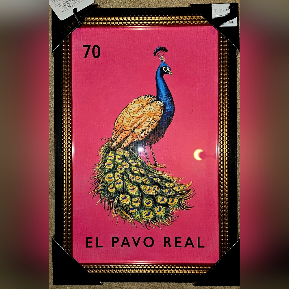 Colorful Peacock Wall Art